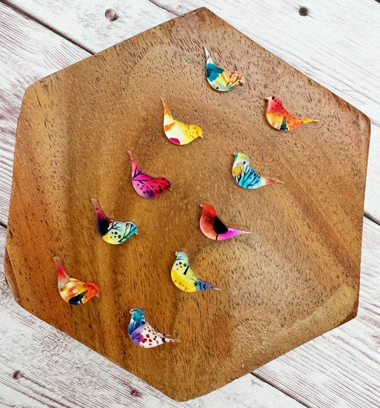 Colorful Bird Stud Earring Blanks Set of 5 Pair DIY Jewelry Making